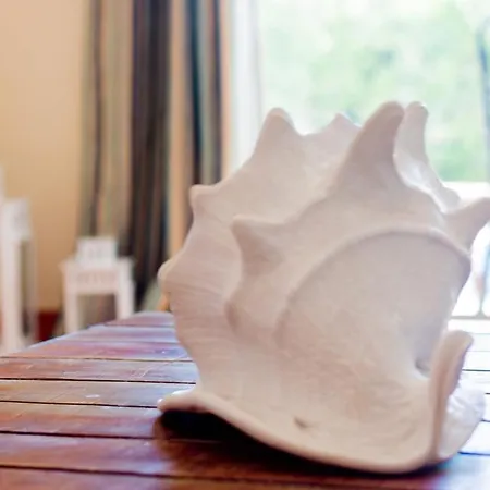 Anna Αλμπουφέιρα