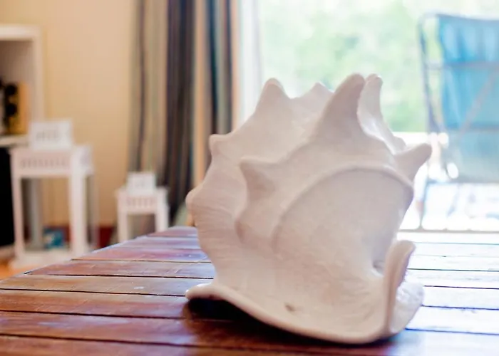 Anna 알부페이라